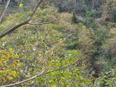 Kaşüstü Satılık Tarla/Bağ/Bahçe Yeşilvadi Köyüne 2 Km 38