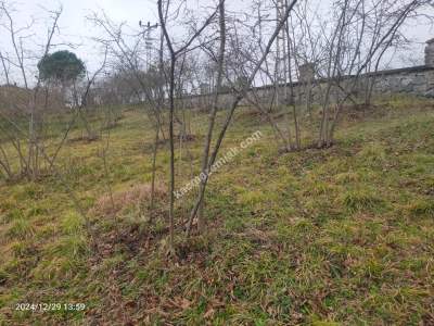 Kaçmaz Emlaktan Trabzon Ortahisar Göz Alan Mah Satılık 12