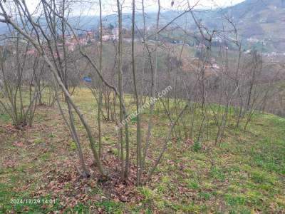 Kaçmaz Emlaktan Trabzon Ortahisar Göz Alan Mah Satılık 23