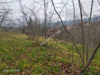 Kaçmaz Emlaktan Trabzon Ortahisar Göz Alan Mah Satılık 20