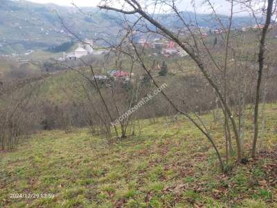 Kaçmaz Emlaktan Trabzon Ortahisar Göz Alan Mah Satılık 14