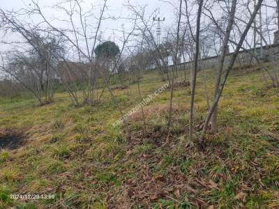 Kaçmaz Emlaktan Trabzon Ortahisar Göz Alan Mah Satılık 15