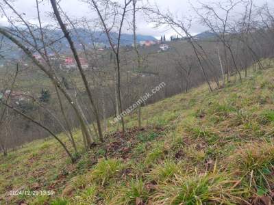 Kaçmaz Emlaktan Trabzon Ortahisar Göz Alan Mah Satılık 16
