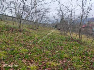 Kaçmaz Emlaktan Trabzon Ortahisar Göz Alan Mah Satılık 19