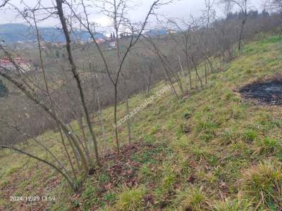 Kaçmaz Emlaktan Trabzon Ortahisar Göz Alan Mah Satılık 13