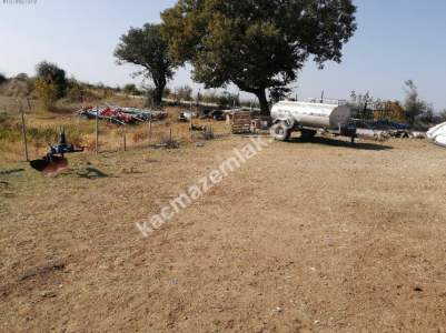 Çanakkale Bayramiç İlçesi Bıyıklı Köyü Satılık Çiftlik 18