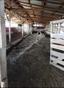 Çanakkale Bayramiç İlçesi Bıyıklı Köyü Satılık Çiftlik 11