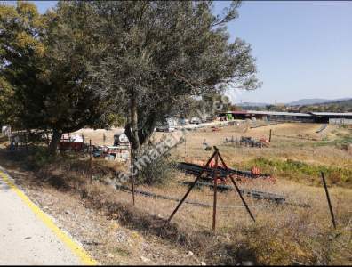 Çanakkale Bayramiç İlçesi Bıyıklı Köyü Satılık Çiftlik 21