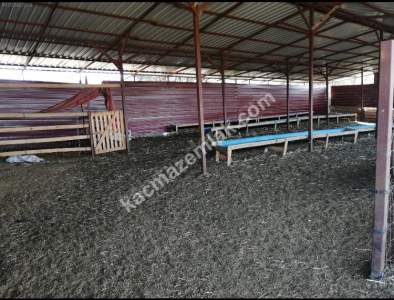 Çanakkale Bayramiç İlçesi Bıyıklı Köyü Satılık Çiftlik 14