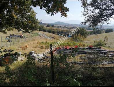 Çanakkale Bayramiç İlçesi Bıyıklı Köyü Satılık Çiftlik 20