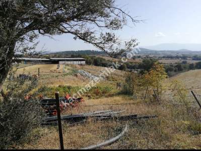 Çanakkale Bayramiç İlçesi Bıyıklı Köyü Satılık Çiftlik 19
