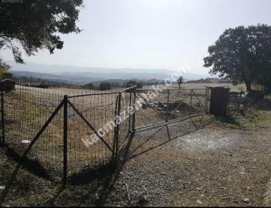 Çanakkale Bayramiç İlçesi Bıyıklı Köyü Satılık Çiftlik 22