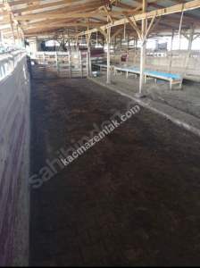 Çanakkale Bayramiç İlçesi Bıyıklı Köyü Satılık Çiftlik 10