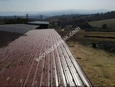 Çanakkale Bayramiç İlçesi Bıyıklı Köyü Satılık Çiftlik 23