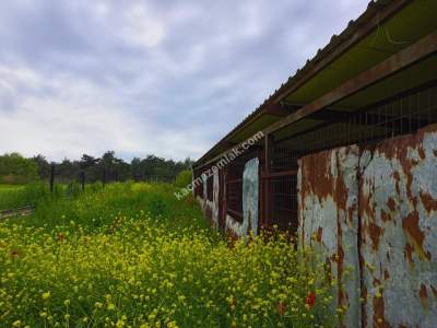 Yerlisu'da Çiftlik Ve Tarıma Elverişli Arsa Fırsatı 17