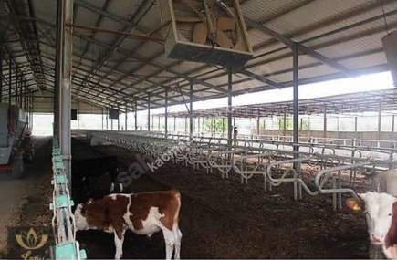 İzmir Tire'de Satılık 48.000 M2 Çiftlik 15