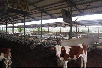 İzmir Tire'de Satılık 48.000 M2 Çiftlik 16