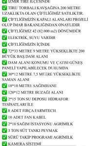 İzmir Tire'de Satılık 48.000 M2 Çiftlik 22