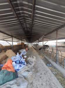 Karaman'da Satılık Çiftlik 23