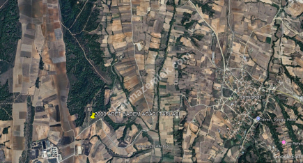 3000 Ağaçlık Badem Tarlası, Hayvancılığa Uygun 12