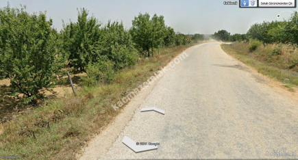 3000 Ağaçlık Badem Tarlası, Hayvancılığa Uygun 14