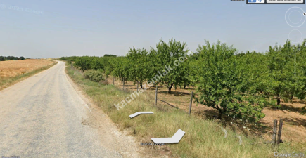 3000 Ağaçlık Badem Tarlası, Hayvancılığa Uygun 15