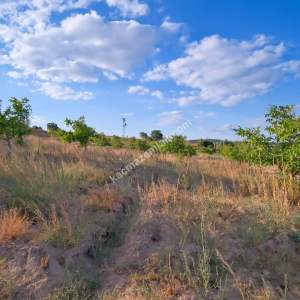 Kırklareli Yörükbayır Köyü Satılık Çiftlik (52 Dönüm) 23