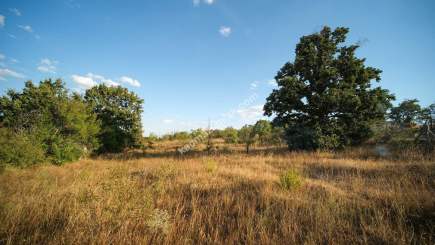 Kırklareli Yörükbayır Köyü Satılık Çiftlik (52 Dönüm) 33
