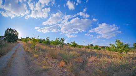 Kırklareli Yörükbayır Köyü Satılık Çiftlik (52 Dönüm) 27