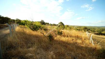 Kırklareli Yörükbayır Köyü Satılık Çiftlik (52 Dönüm) 5