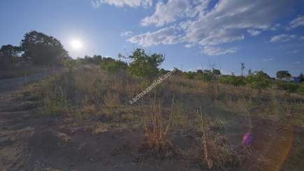 Kırklareli Yörükbayır Köyü Satılık Çiftlik (52 Dönüm) 10