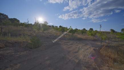 Kırklareli Yörükbayır Köyü Satılık Çiftlik (52 Dönüm) 12