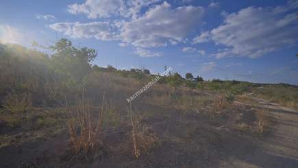 Kırklareli Yörükbayır Köyü Satılık Çiftlik (52 Dönüm) 11