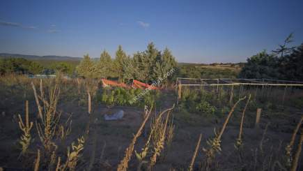 Kırklareli Yörükbayır Köyü Satılık Çiftlik (52 Dönüm) 18