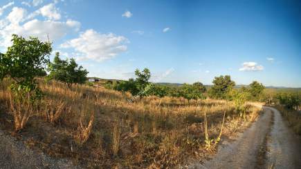 Kırklareli Yörükbayır Köyü Satılık Çiftlik (52 Dönüm) 20