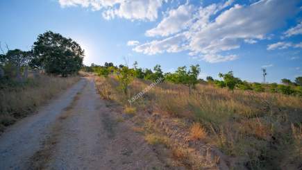 Kırklareli Yörükbayır Köyü Satılık Çiftlik (52 Dönüm) 24