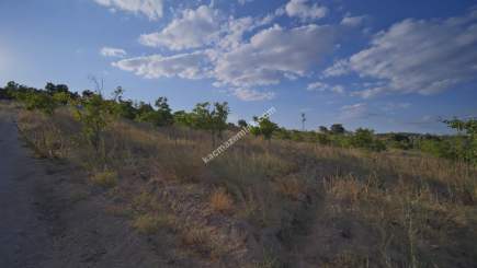 Kırklareli Yörükbayır Köyü Satılık Çiftlik (52 Dönüm) 7