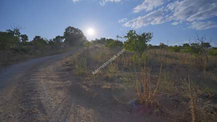 Kırklareli Yörükbayır Köyü Satılık Çiftlik (52 Dönüm) 9