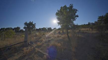 Kırklareli Yörükbayır Köyü Satılık Çiftlik (52 Dönüm) 4