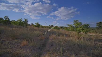 Kırklareli Yörükbayır Köyü Satılık Çiftlik (52 Dönüm) 8