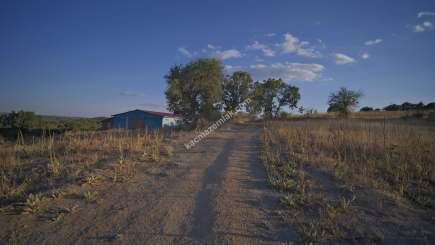 Kırklareli Yörükbayır Köyü Satılık Çiftlik (52 Dönüm) 16