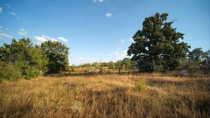 Kırklareli Yörükbayır Köyü Satılık Çiftlik (52 Dönüm) 25
