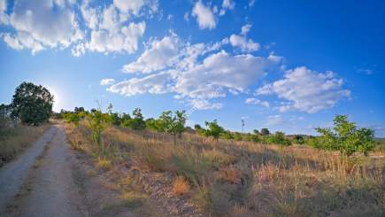 Kırklareli Yörükbayır Köyü Satılık Çiftlik (52 Dönüm) 19