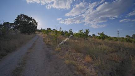 Kırklareli Yörükbayır Köyü Satılık Çiftlik (52 Dönüm) 6