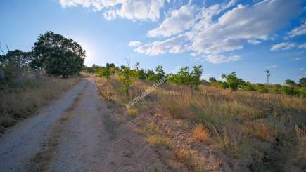 Kırklareli Yörükbayır Köyü Satılık Çiftlik (52 Dönüm) 32