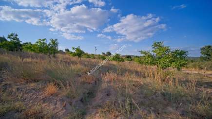 Kırklareli Yörükbayır Köyü Satılık Çiftlik (52 Dönüm) 31