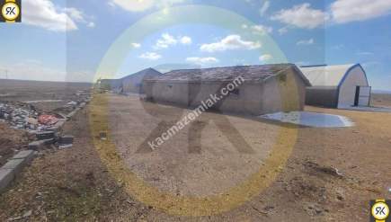 Konya Karatay Akörenkışla Mahallesinde Satılık Çiftlik 28