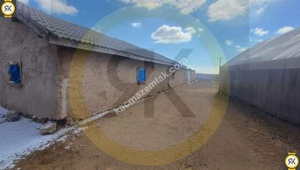 Konya Karatay Akörenkışla Mahallesinde Satılık Çiftlik 23