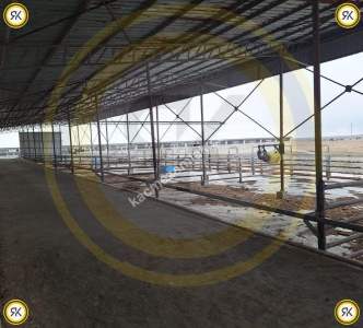 Kulu Bahadırlı Mahallesinde Satılık Çiftlik 452.149 M2 4