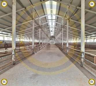 Kulu Bahadırlı Mahallesinde Satılık Çiftlik 452.149 M2 11